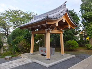 �i8�j�萅�ɊD�`�􂢊���