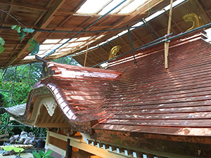 �i50�j���H�� 7 ����<