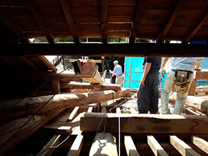 �i3�j�⋭�p�V�K�j�؏グ