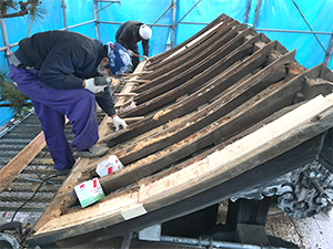 �i6�j�쉮�����n�⋭