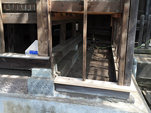 �i6�j�ϐk�⋭�i�d���_���p�[��t���j