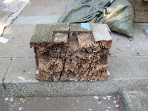 �i5�j���pB���������