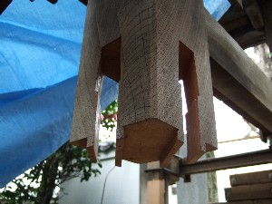 �i11�j���p��A���؎d��