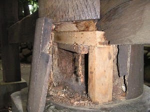 �i2�j�������{�����