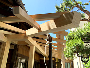 �i5�j�����g��