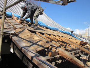 1�j�����쉮�����