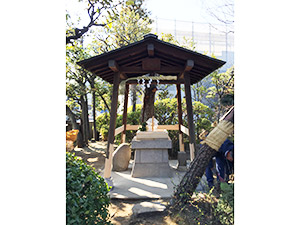 �i13�j�������p������