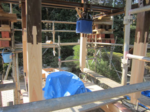 (14)根継ぎ女木加工完了