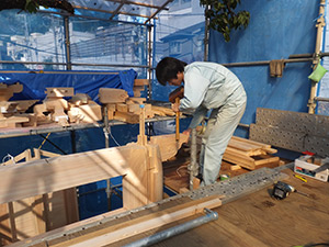 �i12�j�ؕ@��t��