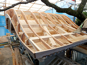 �i25�j�쉮�����n����