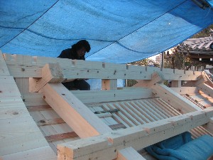 �i23�j��H�H�����i�쐂�؎{�H�����j