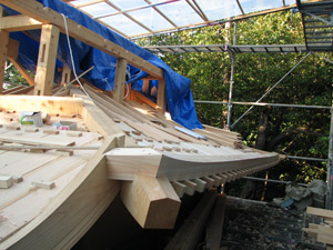 �i13�j�����E�򉍐��؎�t��